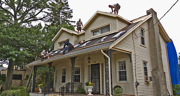 Best Roof Maintenance Services  in Fort Bliss, TX