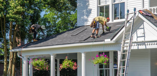 Best Roof Gutter Cleaning  in Fort Bliss, TX